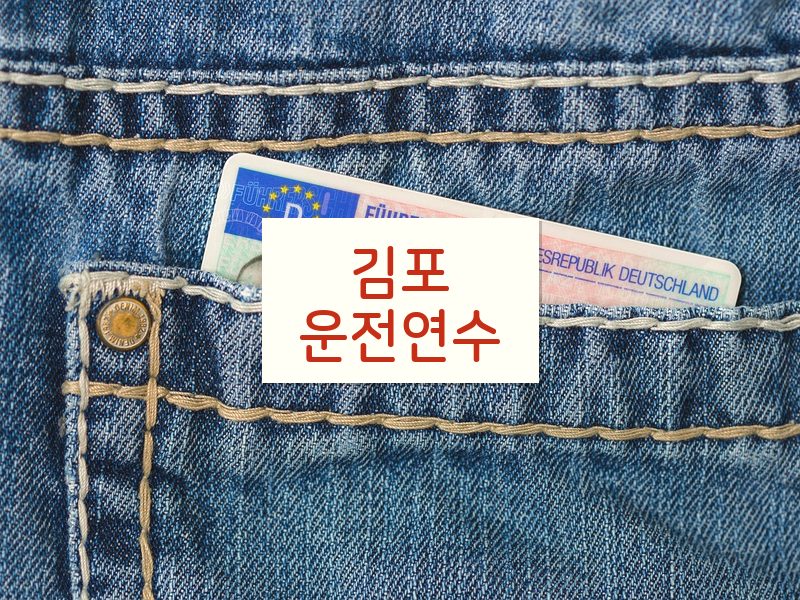 김포운전연수 후기