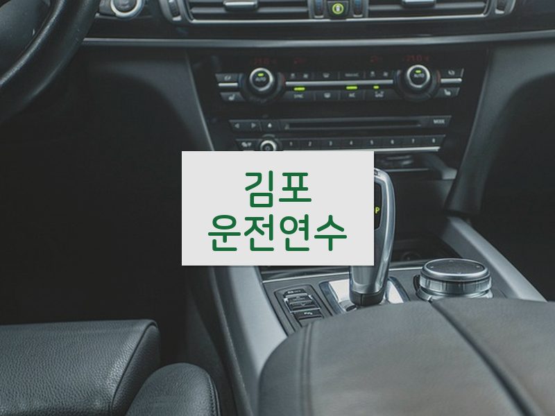 김포운전연수 후기