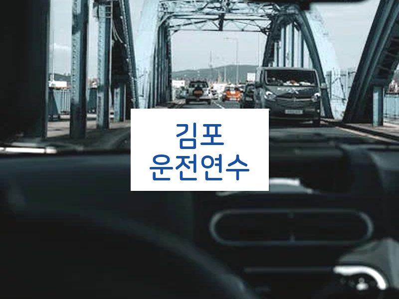 김포운전연수 후기