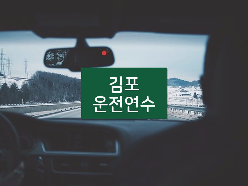 김포운전연수 후기