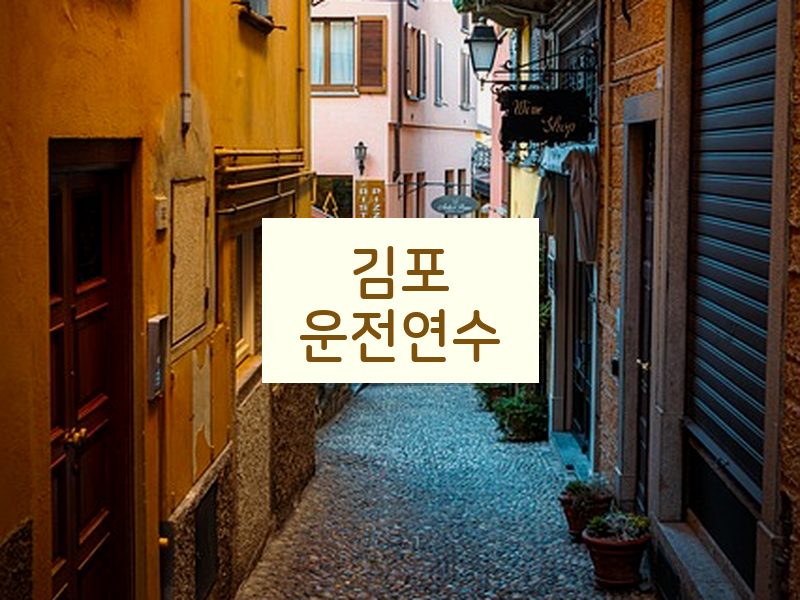 김포운전연수 후기