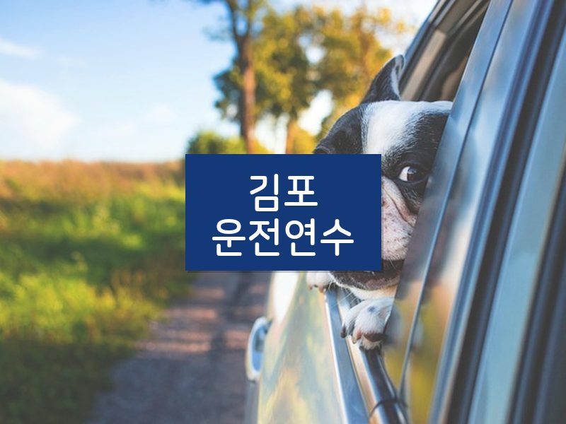 김포운전연수 후기