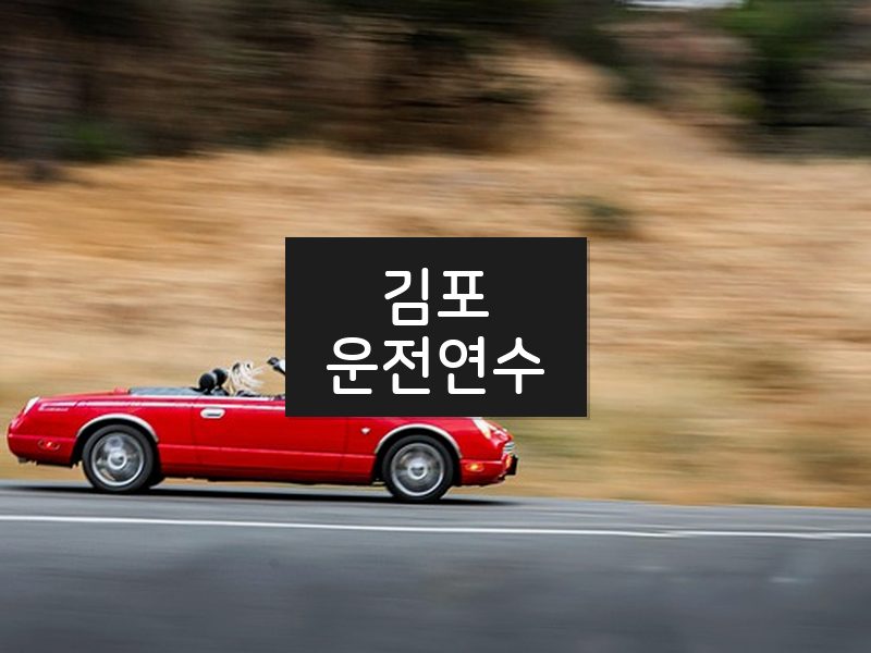 김포운전연수 후기