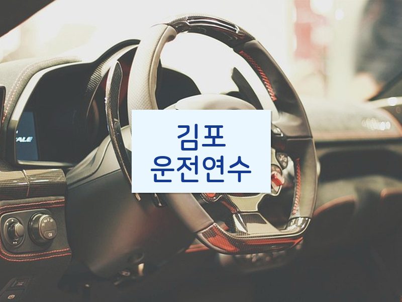 김포운전연수 후기