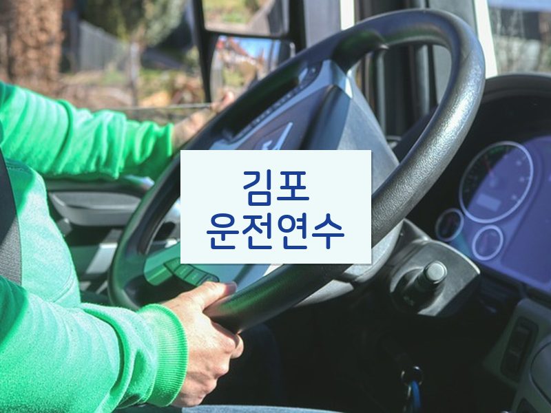 김포운전연수 후기