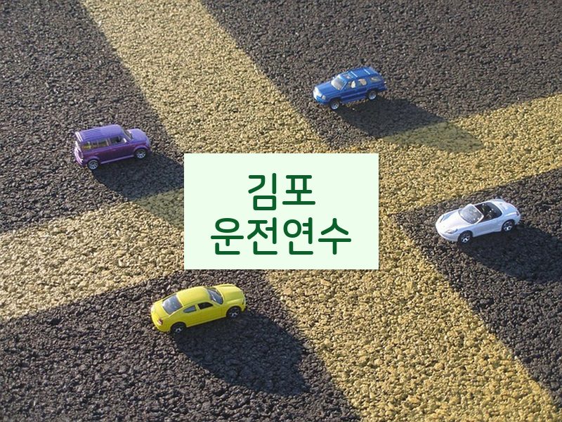 김포운전연수 후기