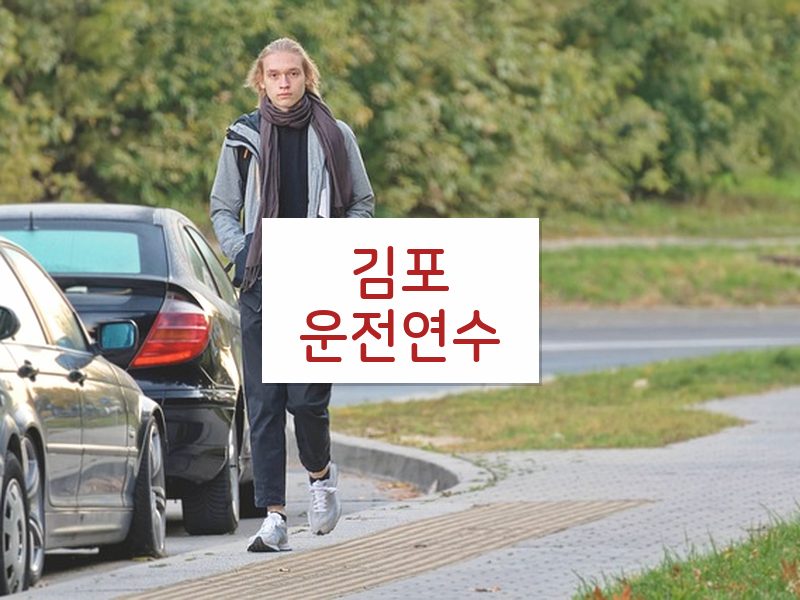 김포운전연수 후기