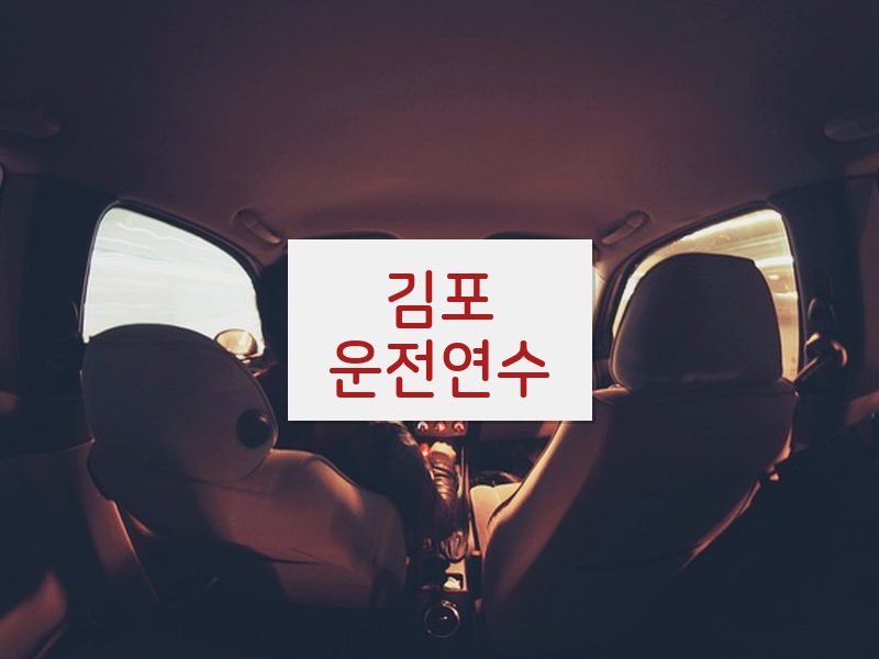 김포운전연수 후기
