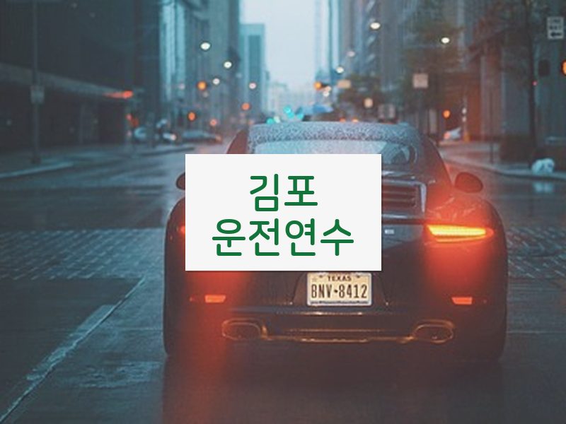 김포운전연수 후기