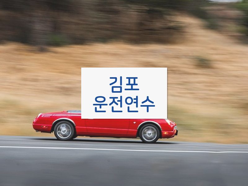 김포운전연수 후기