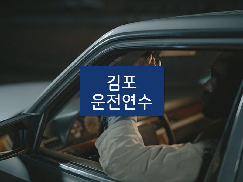 김포운전연수 후기