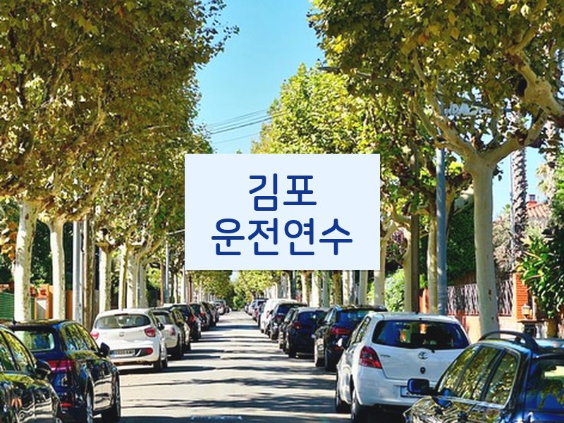 김포운전연수 후기