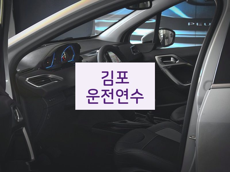 김포운전연수 후기