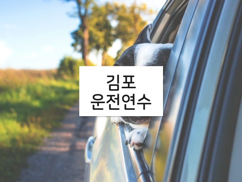 김포운전연수 후기
