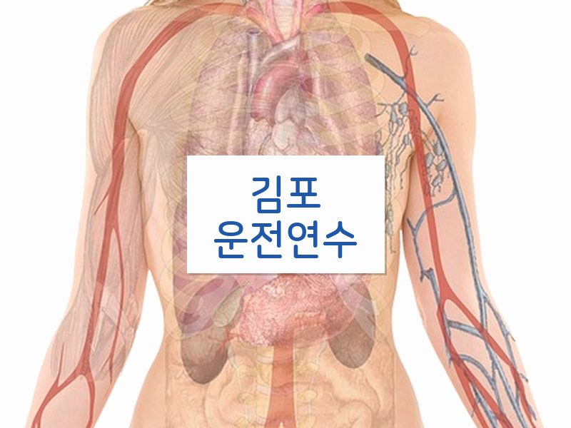 김포운전연수 후기