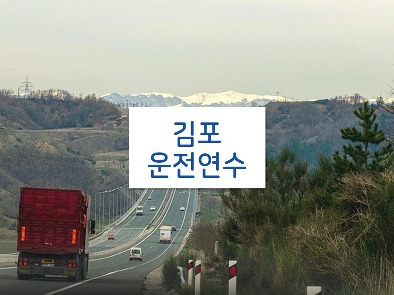 김포운전연수 후기