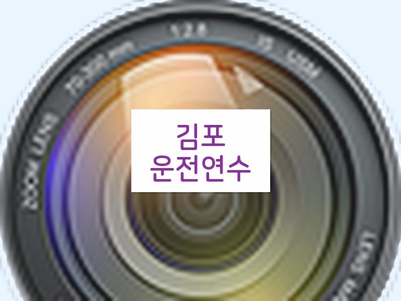 김포운전연수 후기