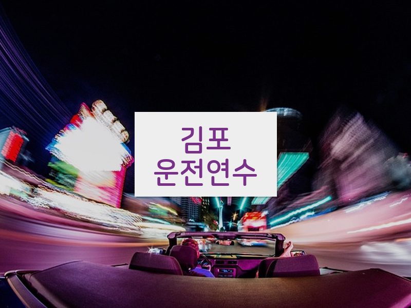 김포운전연수 후기