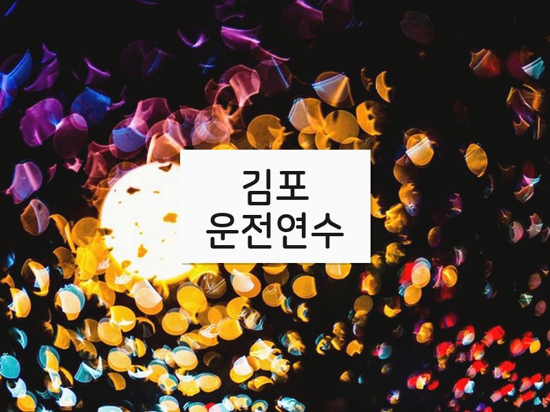 김포운전연수 후기