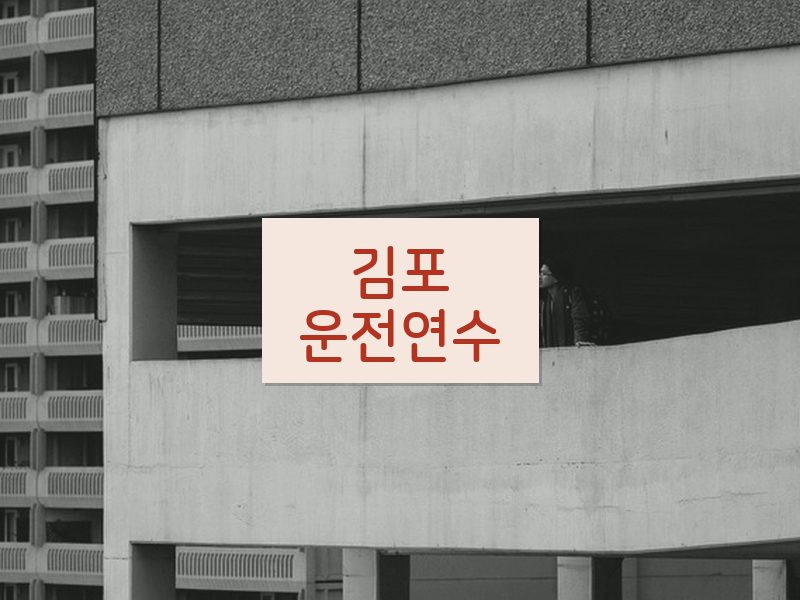김포운전연수 후기