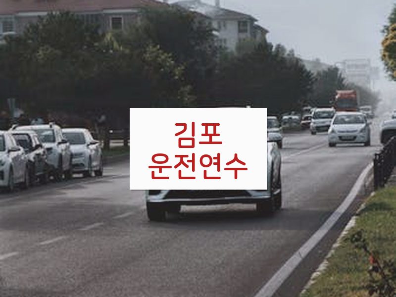 김포운전연수 후기