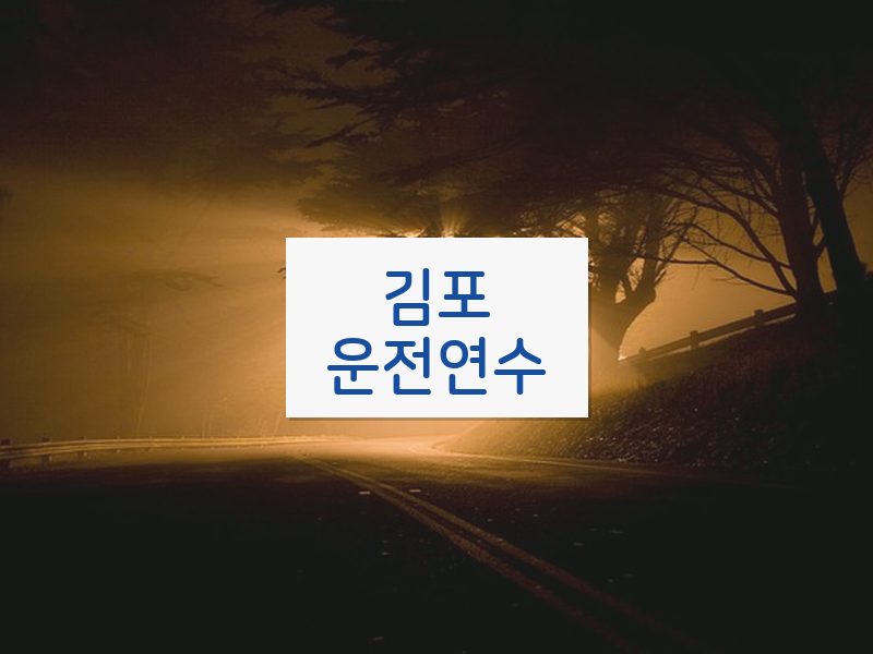 김포운전연수 후기