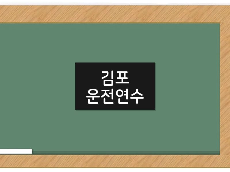 김포운전연수 후기