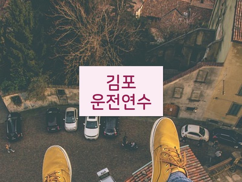김포운전연수 후기