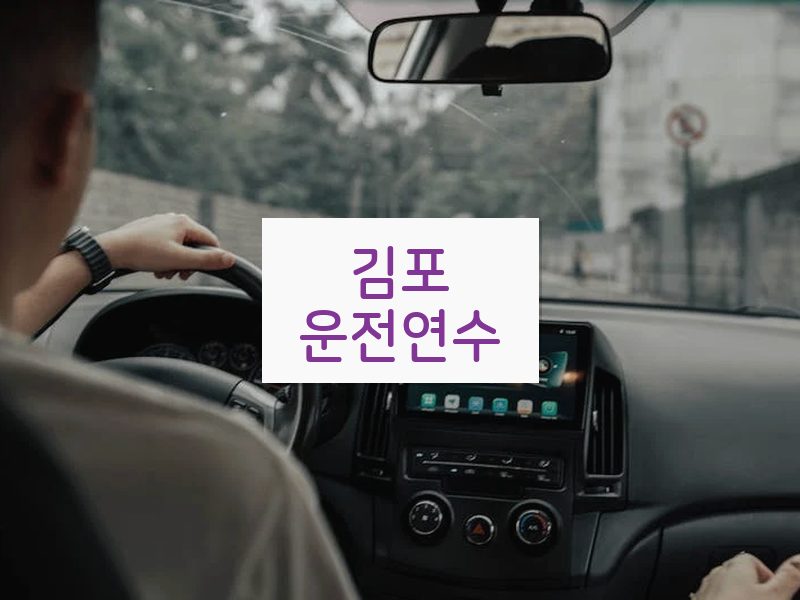 김포운전연수 후기