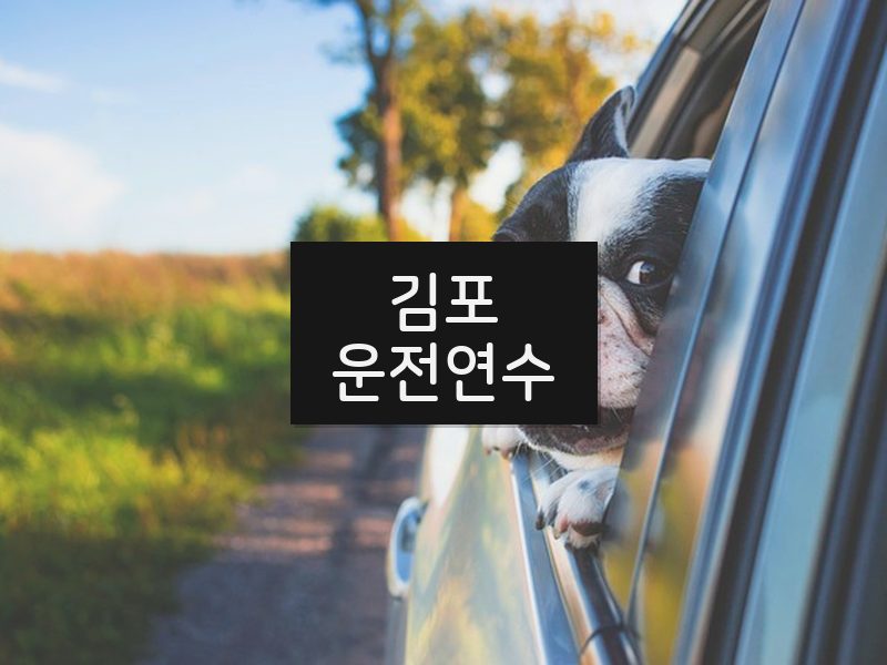 김포운전연수 후기