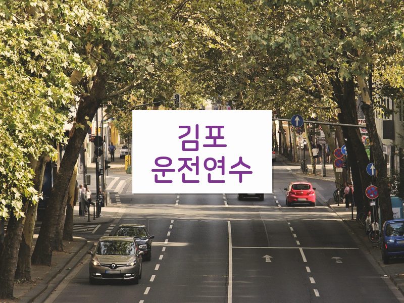 김포운전연수 후기