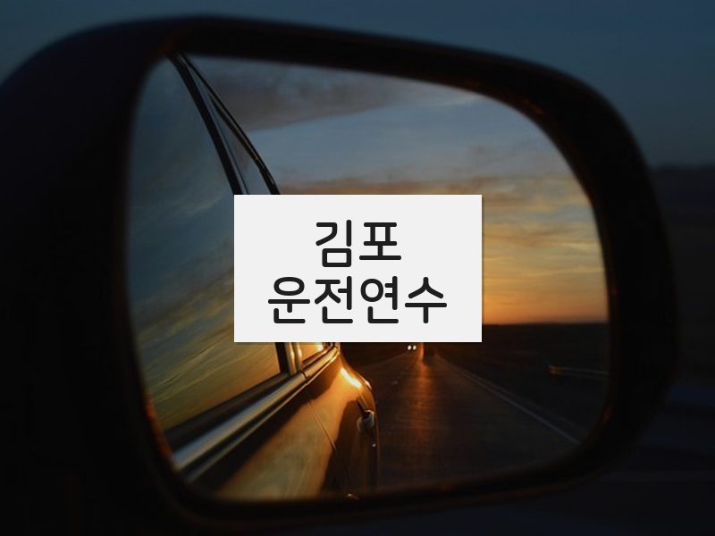 김포운전연수 후기