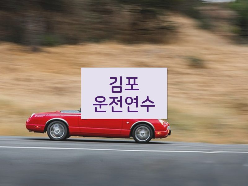 김포운전연수 후기