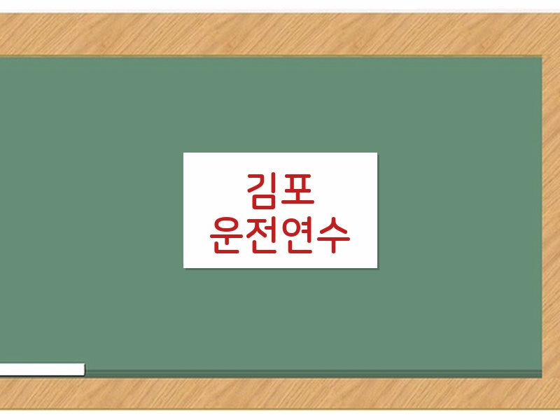 김포운전연수 후기