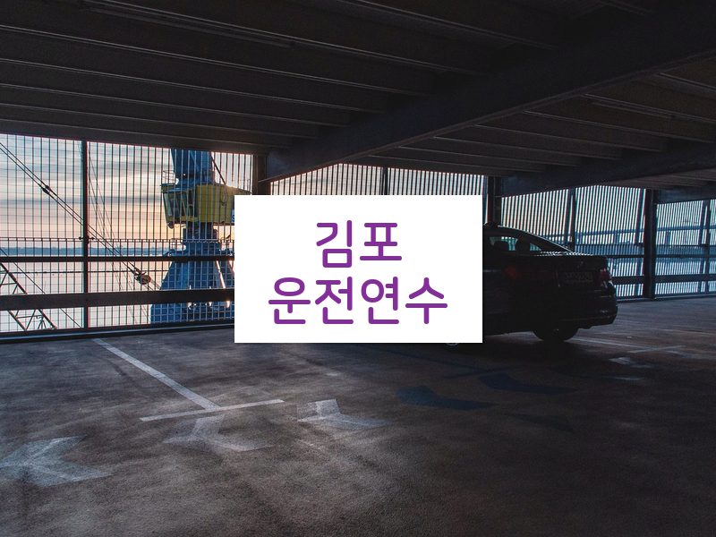 김포운전연수 후기