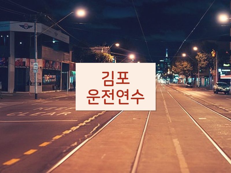 김포운전연수 후기