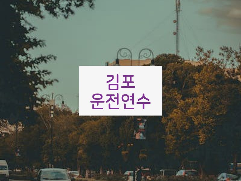 김포운전연수 후기