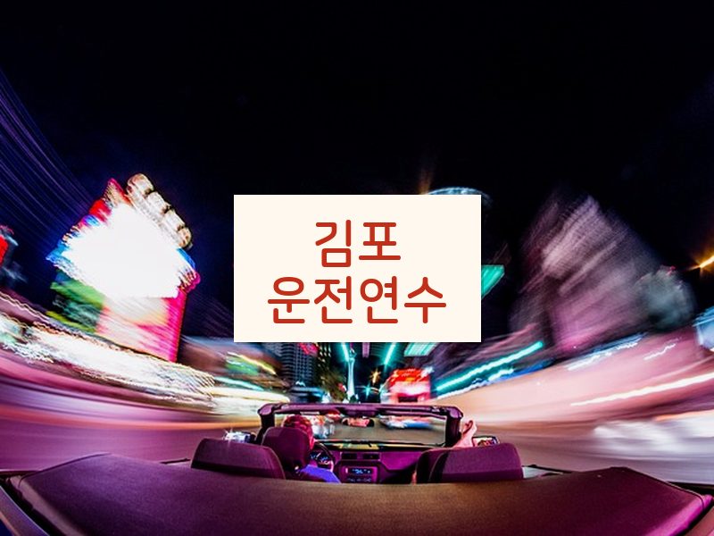 김포운전연수 후기