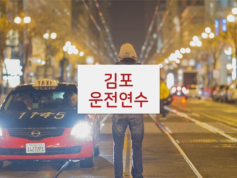 김포운전연수 후기