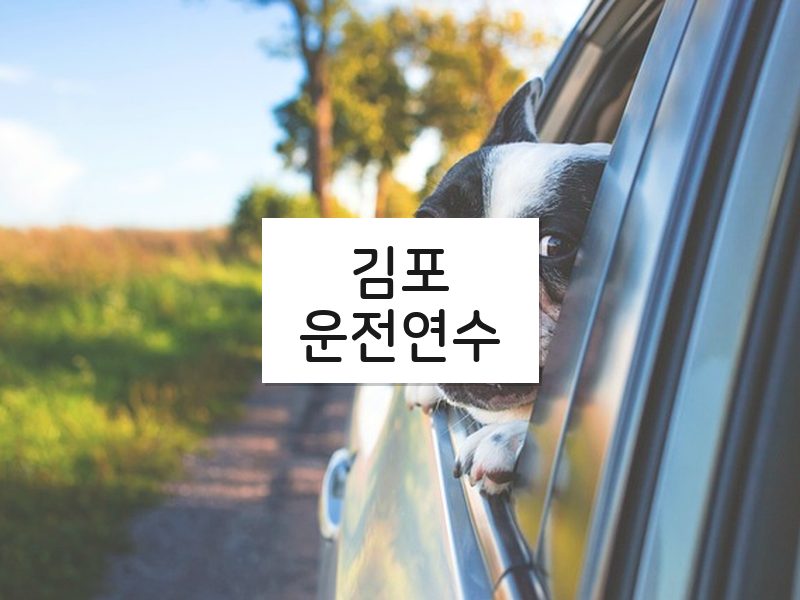 김포운전연수 후기