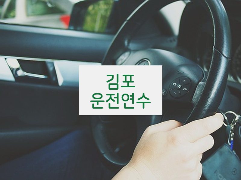 김포운전연수 후기