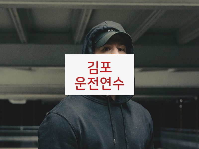 김포운전연수 후기