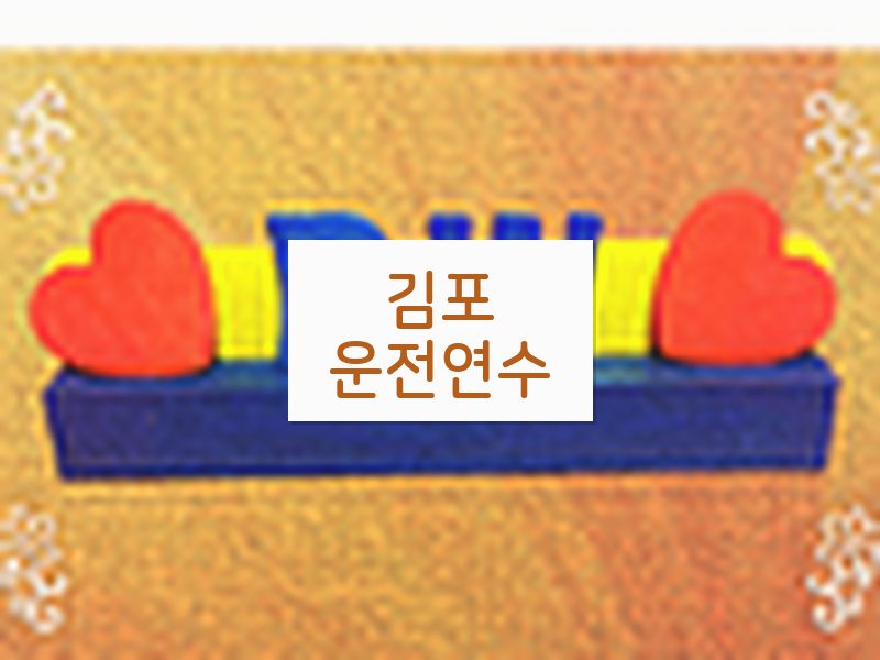 김포운전연수 후기