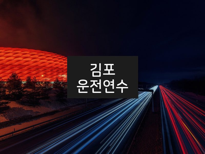 김포운전연수 후기