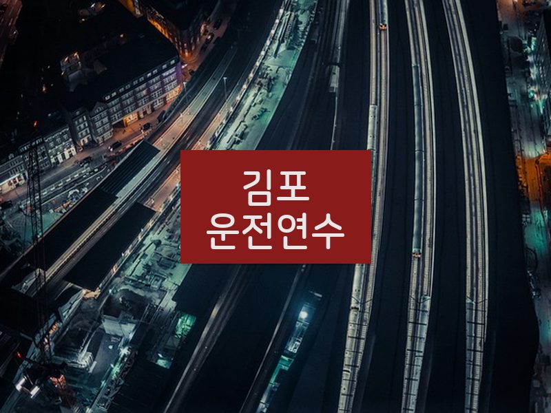 김포운전연수 후기