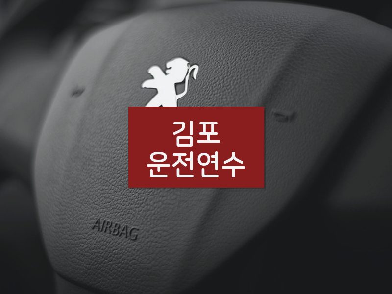 김포운전연수 후기
