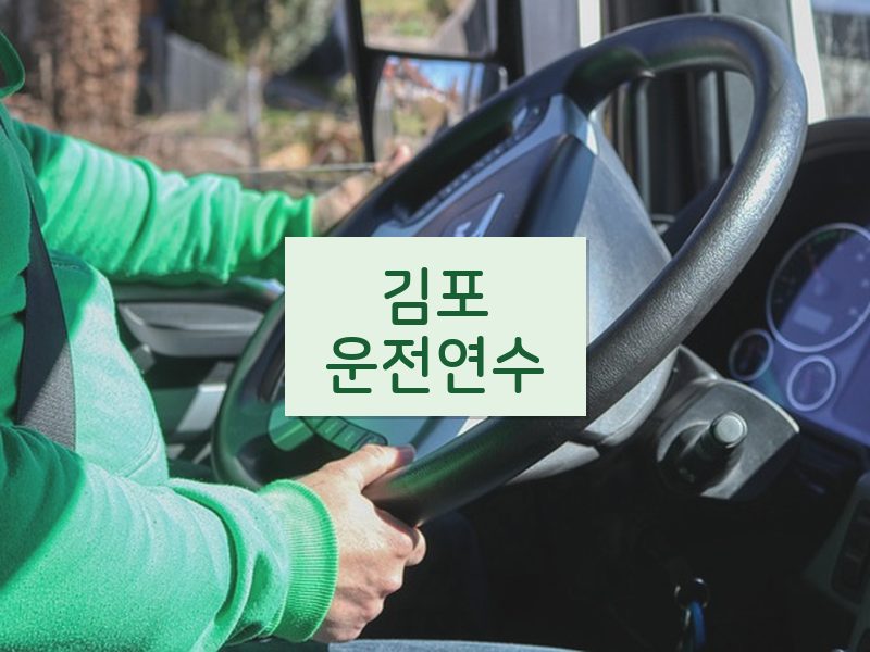 김포운전연수 후기