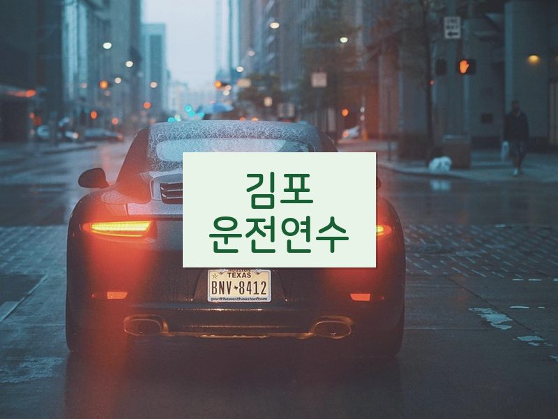 김포운전연수 후기