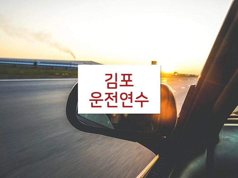 김포운전연수 후기