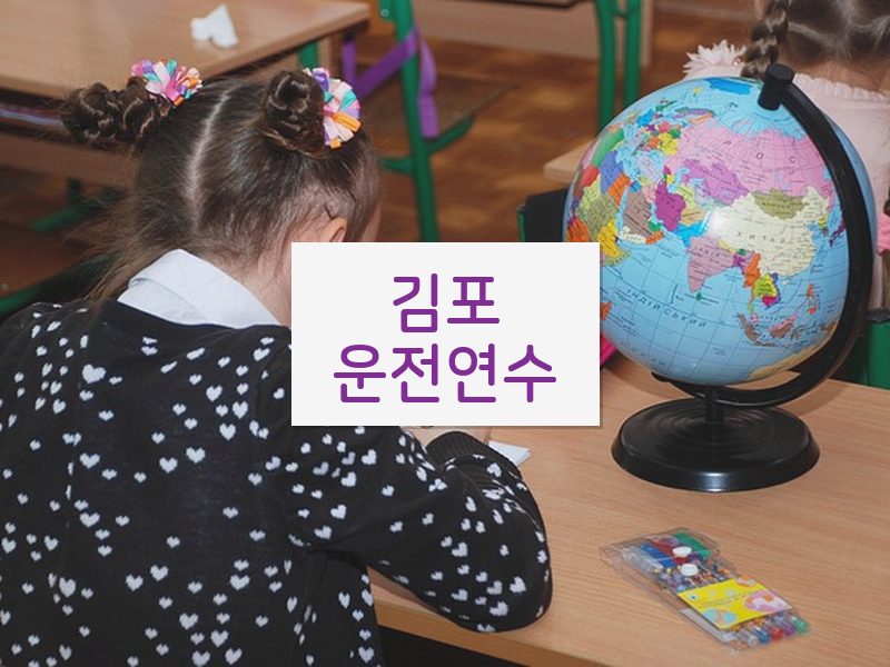 김포운전연수 후기